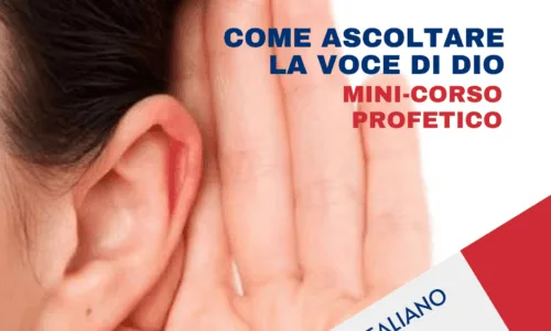 miniatura del curso